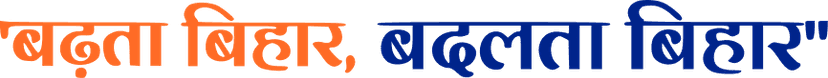 Section Decoration
